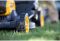 Газонокосарка акумуляторна самохідна безщіткова DeWALT DCMWSP550N