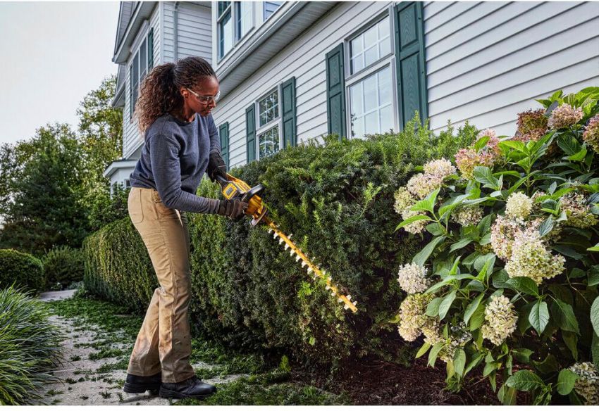 Ножниці садові - секатор акумуляторний DeWALT DCMPP568P1