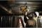 Перфоратор акумуляторний безщітковий SDS-Plus DeWALT DCH273NT