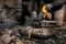 Пила шаблонна акумуляторна DeWALT DCS389T2
