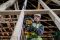 Пилка шабельна акумуляторна безщіткова DeWALT DCS369P2