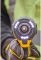 Шурупокрут ударний гідравлічний акумуляторний безщітковий DeWALT DCF870NT